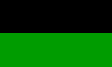 [Neu Büddenstedt borough plain flag]