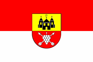 [Münster-Sarmsheim municipality flag]