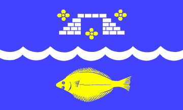 [Stein municipal flag]