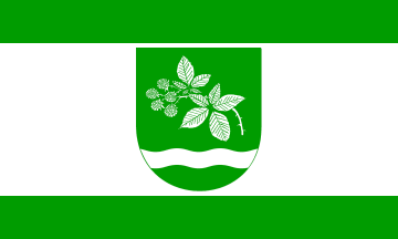 [Brammer municipal flag]