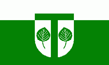[Timmaspe municipal flag]
