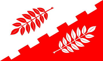[Altenhof municipal flag]