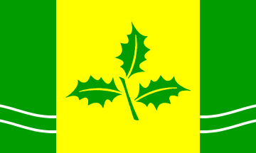 [Kattendorf municipal flag]