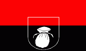 [Bad Säckingen city flag]