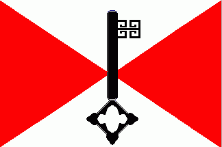 [HSDG key flag]