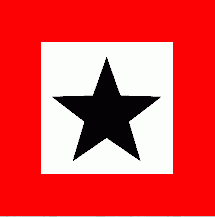 [Flag of Det Helsingforske Dampskibsselskab, P.Brown Jr. & Co.]