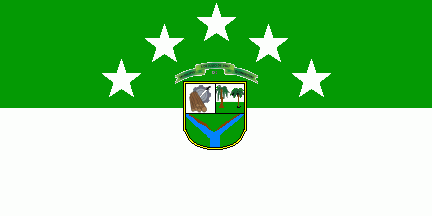 [Quinindé cantonal flag w/ CoA (Ecuador)]