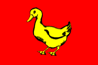 [yellow duck on red background
