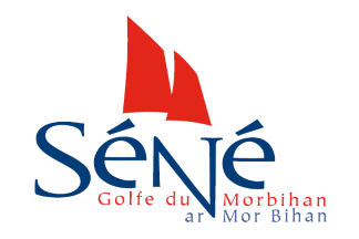 [Flag of Sene]