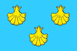 [Flag of Oberhausbergen]