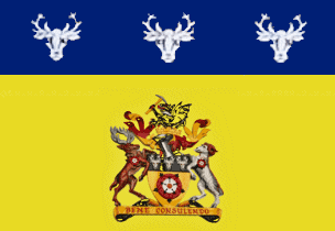 [variant Banner of Arms 2 of Derbyshire, England]