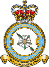 [616th South Yorkshire Squadron Insignia]