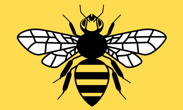 [Proposed Manchester Bee Flag]