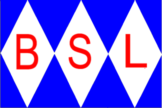 [Bucknall Steamship Lines, Ltd. houseflag]