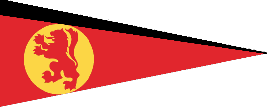 [Caledonian MacBrayne houseflag]