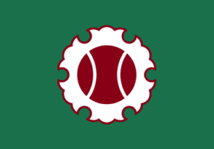 [flag of Ojiya]