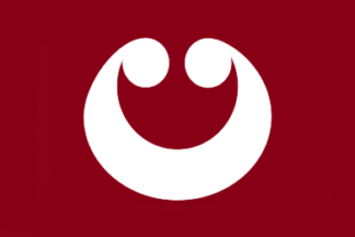 [Flag of Matsuyama]