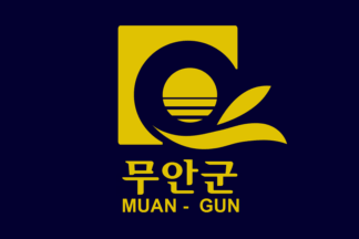 [Muan County indoor flag]