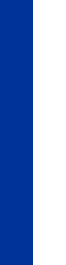 Vertical flag of Triesen