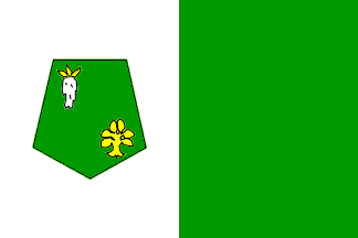 Kenitra prov. flag