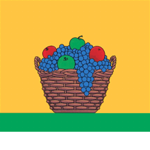 [flag of Păulești]