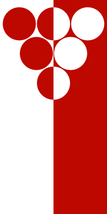 [Flag of Kavadarci]