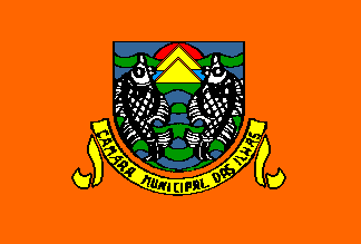 [Macao Island Municipality Flag]