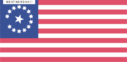 [Flag used by Henry A. Crabb during his 1854 invasion to Mexico]