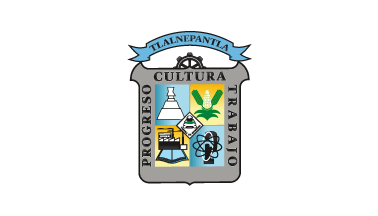 Flag of Tlalnepantla de Baz