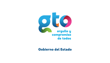 [2012-2018 Government of Guanajuato flag - variant]