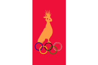 [Sports flag, 1991]