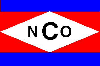 [CNC house flag]