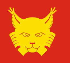 [Flag of Drammen]