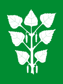 [Flag of Bjerkreim]