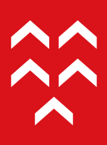 [Flag of former municipality of Vindafjord]
