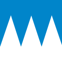 [Flag of Rauma]