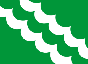 [Flag of Surnadal]