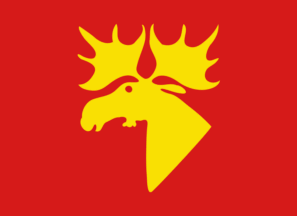 [Flag of Namsos]