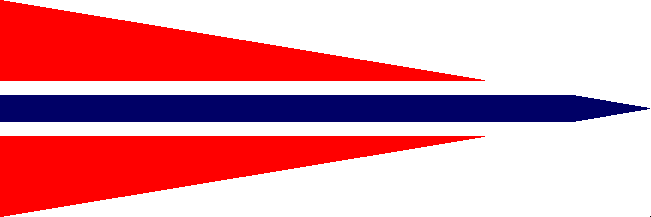 [Commander of a detachment rank flag]