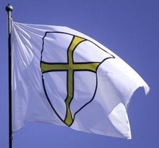 Flag of Trøndelag Fylkeskommune 
