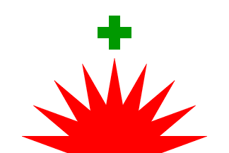 Santo Toribio flag