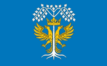 [Brzozów county flag]