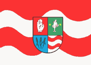 [Brodnica county flag]