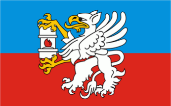 [Leczna county flag]