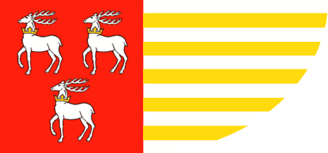 [Łuków county flag]