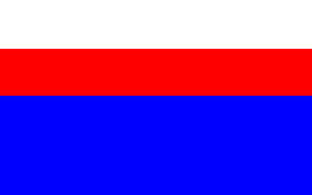 [Swidnik commune flag]
