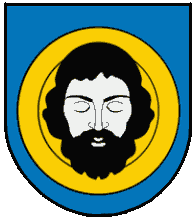 [Brzozów city and commune arms]