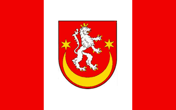 [Bieszczady county flag]