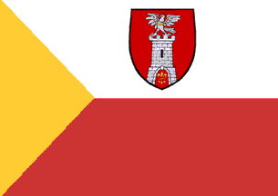 [Częstochowa county flag]