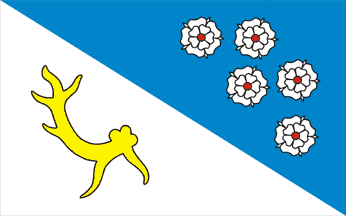 [Nowe Miasto county flag]